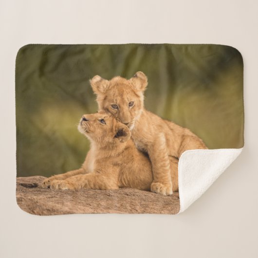 Couverture Sherpa Animaux de bébés cutest | Deux Lions Cubs (Devant (Horizontal))