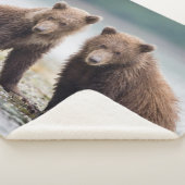 Couverture Sherpa Animaux de bébés cutest | Deux petits ours d'ours (3/4)