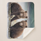 Couverture Sherpa Animaux de bébés cutest | Deux petits ours d'ours (Devant)