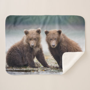 Couverture Sherpa Animaux de bébés cutest   Deux petits ours d'ours