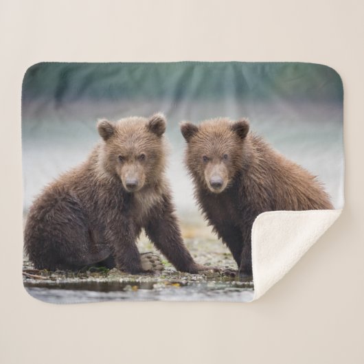 Couverture Sherpa Animaux de bébés cutest | Deux petits ours d'ours (Devant (Horizontal))