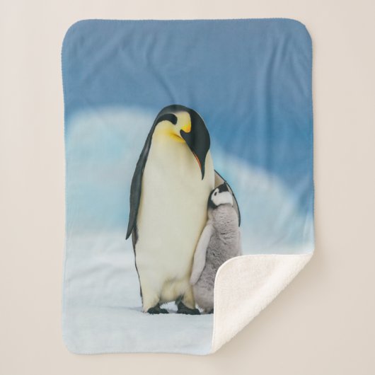 Couverture Sherpa Animaux de bébés cutest | Empereur Penguin Chick (Devant)