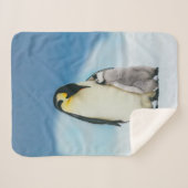 Couverture Sherpa Animaux de bébés cutest | Empereur Penguin Chick (Devant (Horizontal))