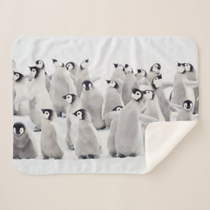 Couverture Sherpa Animaux de bébés cutest   Empereur Penguin Chicks