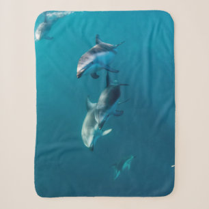 Couverture Sherpa Animaux de bébés cutest   Famille de dauphins