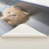 Couverture Sherpa Animaux de bébés cutest | Fluffy Orange Kitten (3/4)