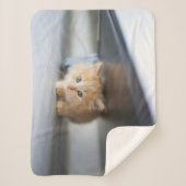 Couverture Sherpa Animaux de bébés cutest | Fluffy Orange Kitten (Devant)