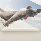 Couverture Sherpa Animaux de bébés cutest | French Bulldog Booking (3/4)