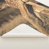 Couverture Sherpa Animaux de bébés cutest | Girafe bébé et parent (3/4)