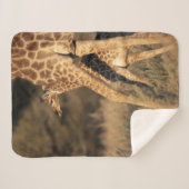 Couverture Sherpa Animaux de bébés cutest | Girafe bébé et parent (Devant (Horizontal))