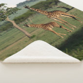 Couverture Sherpa Animaux de bébés cutest | Giraffe Calf & Mama (3/4)