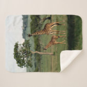 Couverture Sherpa Animaux de bébés cutest | Giraffe Calf & Mama (Devant (Horizontal))