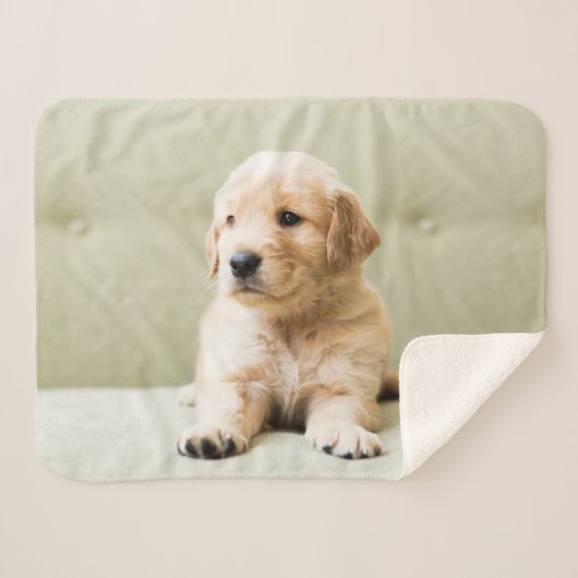 Couverture Sherpa Animaux de bébés cutest | Golden Retriever Puppy (Devant (Horizontal))