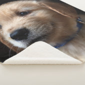 Couverture Sherpa Animaux de bébés cutest | Golden Retriever Puppy (3/4)