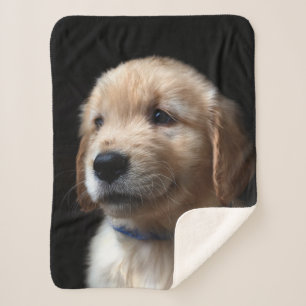 Couverture Sherpa Animaux de bébés cutest   Golden Retriever Puppy