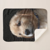 Couverture Sherpa Animaux de bébés cutest | Golden Retriever Puppy (Devant (Horizontal))