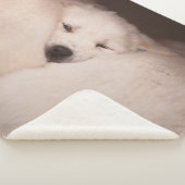 Couverture Sherpa Animaux de bébés cutest | Golden Retriever Snuggle (3/4)