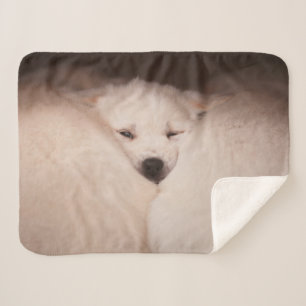 Couverture Sherpa Animaux de bébés cutest   Golden Retriever Snuggle