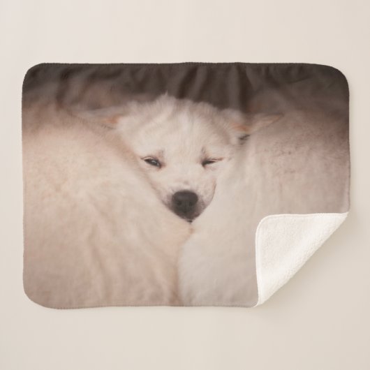 Couverture Sherpa Animaux de bébés cutest | Golden Retriever Snuggle (Devant (Horizontal))
