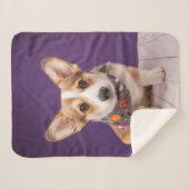 Couverture Sherpa Animaux de bébés cutest | Halloween Corgi (Devant (Horizontal))