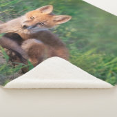 Couverture Sherpa Animaux de bébés cutest | Kit Red Fox Relaxant (3/4)