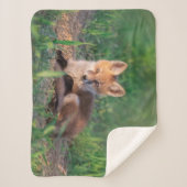 Couverture Sherpa Animaux de bébés cutest | Kit Red Fox Relaxant (Devant)