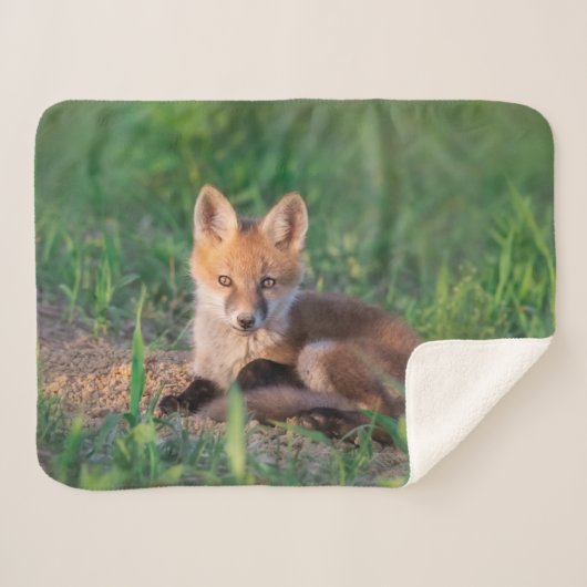 Couverture Sherpa Animaux de bébés cutest | Kit Red Fox Relaxant (Devant (Horizontal))
