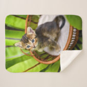 Couverture Sherpa Animaux de bébés cutest | Kitten dans le panier (Devant (Horizontal))