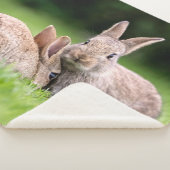 Couverture Sherpa Animaux de bébés cutest | Lapins de lapin sauvage (3/4)