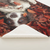 Couverture Sherpa Animaux de bébés cutest | L'espagnol dans les feui (3/4)