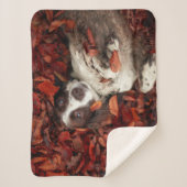 Couverture Sherpa Animaux de bébés cutest | L'espagnol dans les feui (Devant)