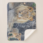 Couverture Sherpa Animaux de bébés cutest | Lion Dad & Cub (Devant)