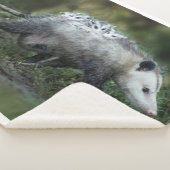 Couverture Sherpa Animaux de bébés cutest | Opossum Maman & Kids (3/4)