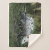 Couverture Sherpa Animaux de bébés cutest | Opossum Maman & Kids (Devant)