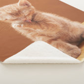 Couverture Sherpa Animaux de bébés cutest | Orange Tabby Kitten (3/4)