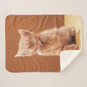 Couverture Sherpa Animaux de bébés cutest | Orange Tabby Kitten (Devant (Horizontal))