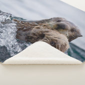 Couverture Sherpa Animaux de bébés cutest | Otter Baby & Mère (3/4)