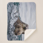 Couverture Sherpa Animaux de bébés cutest | Otter Baby & Mère (Devant)