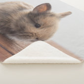 Couverture Sherpa Animaux de bébés cutest | Petit lapin bébé (3/4)