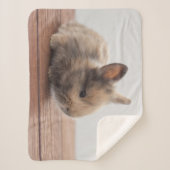 Couverture Sherpa Animaux de bébés cutest | Petit lapin bébé (Devant)