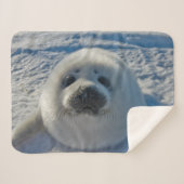 Couverture Sherpa Animaux de bébés cutest | Phoque bébé (Devant (Horizontal))