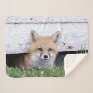 Couverture Sherpa Animaux de bébés cutest Red Fox Kit Peeking