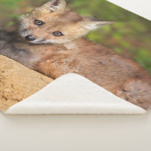 Couverture Sherpa Animaux de bébés cutest | Red Fox Pup (3/4)