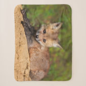 Couverture Sherpa Animaux de bébés cutest | Red Fox Pup (Devant)
