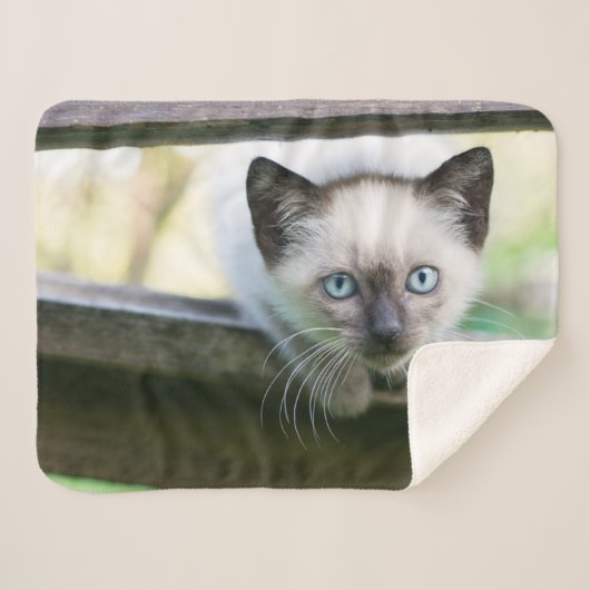 Couverture Sherpa Animaux de bébés cutest | Siamese Kitten 2 (Devant (Horizontal))