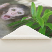 Couverture Sherpa Animaux de bébés cutest | Singe des neiges surpris (3/4)