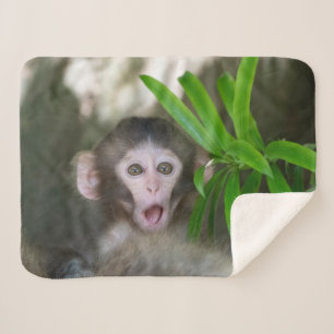Couverture Sherpa Animaux de bébés cutest Singe des neiges surpris