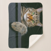 Couverture Sherpa Animaux de bébés cutest | Tête de chat gris Tabby (Devant)