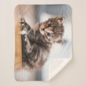 Couverture Sherpa Animaux de bébés cutest | Tiny Tabby Kitten (Devant)