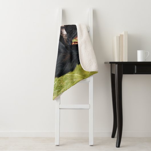 Couverture Sherpa Animaux de bébés cutest | Trois chimpanzés en trai (En situation)